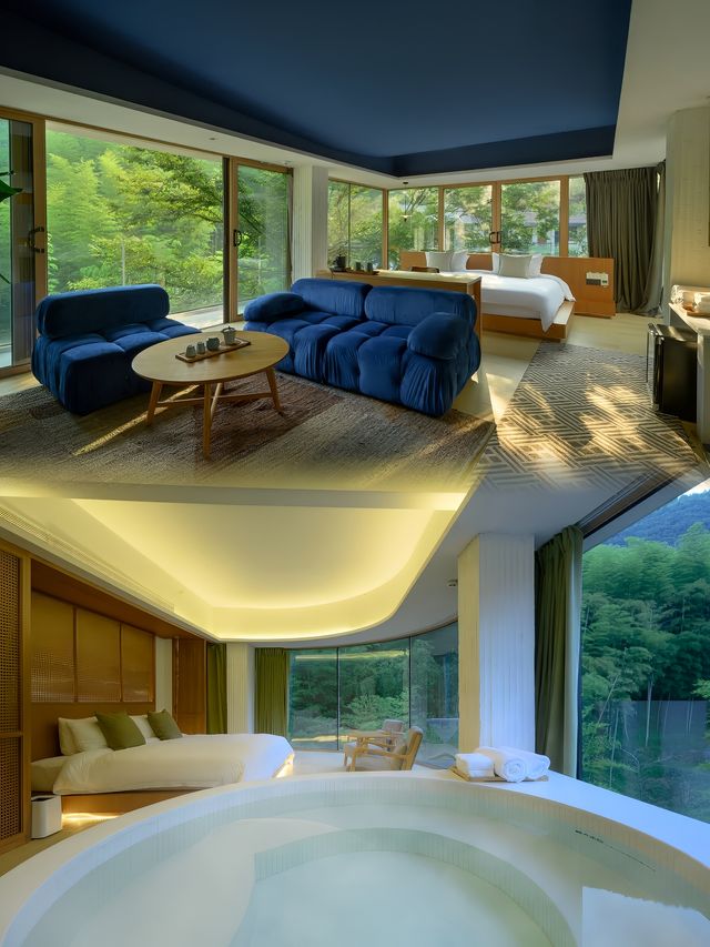 為了這個窗景，我住進了莫干山的山林竹海