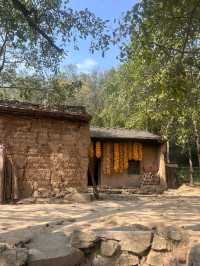 帶娃探秘九寨溝-黃龍與國寶零距離接觸的旅行攻略