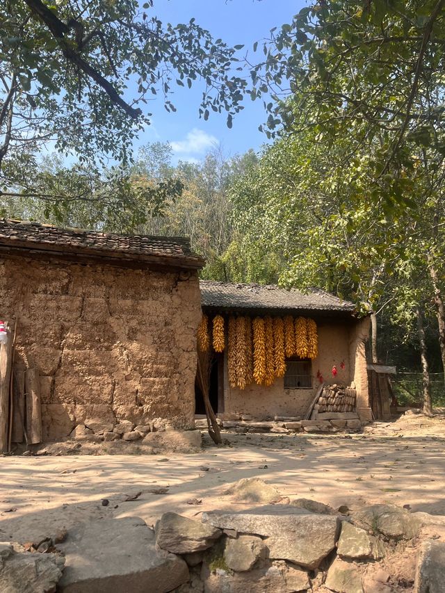 帶娃探秘九寨溝-黃龍與國寶零距離接觸的旅行攻略