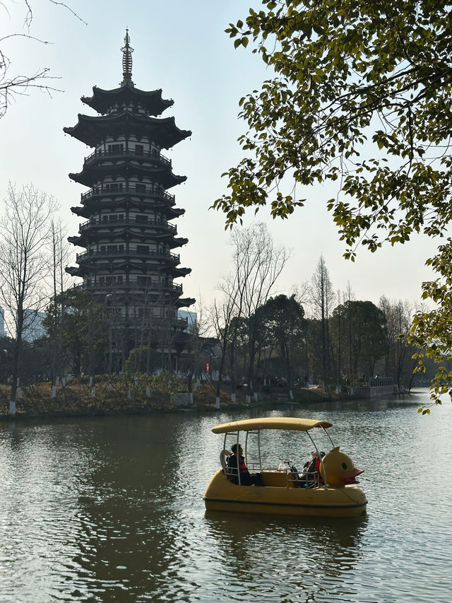 長沙洋湖濕地公園我拍的白鷺塔還可以吧？
