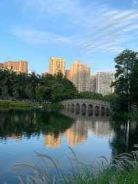 深圳四海公園的美景讓人流連忘返！