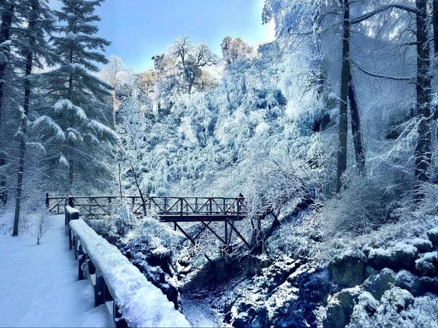 寶藏小眾玩雪秘境，狠狠拿捏我的心 超愛