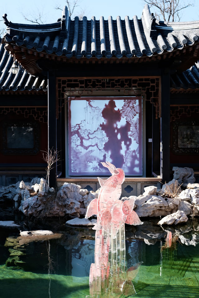 年味收集計劃｜皮影裡的中式年味兒～