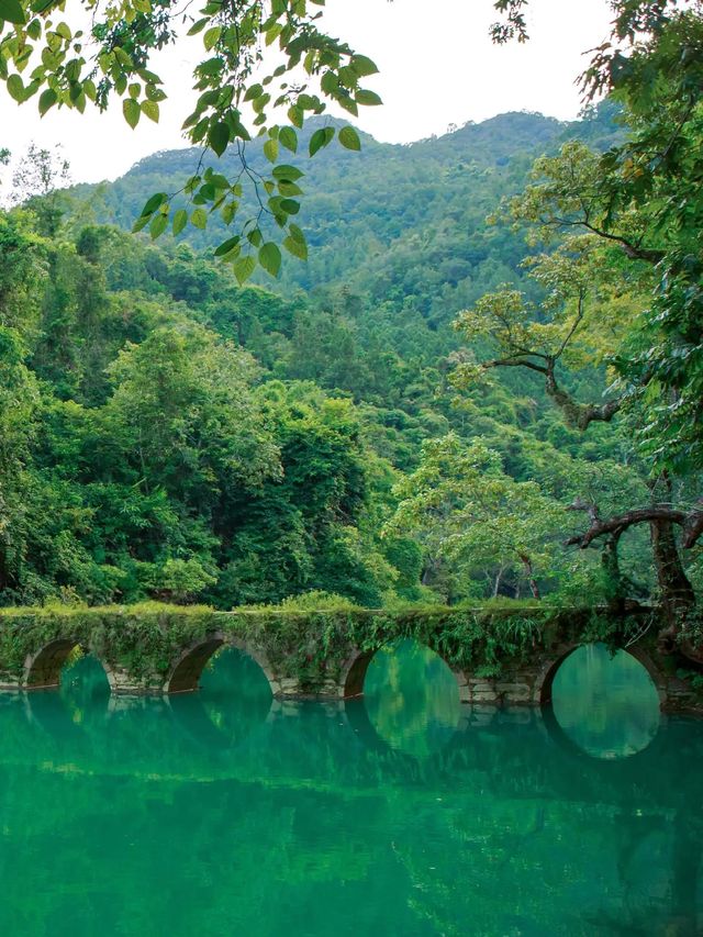 春節旅遊 | 嚟荔波大小七孔住呢間就啱啦！