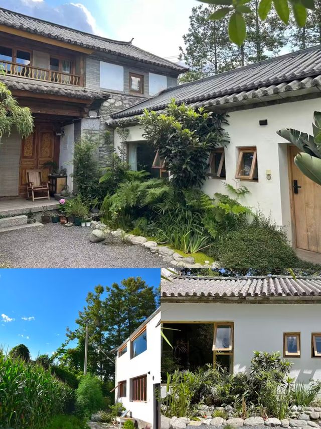 在大理鄉下住了一週，整個人懶洋洋的