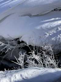 延邊3日遊|玩轉熱門景點 不看後悔