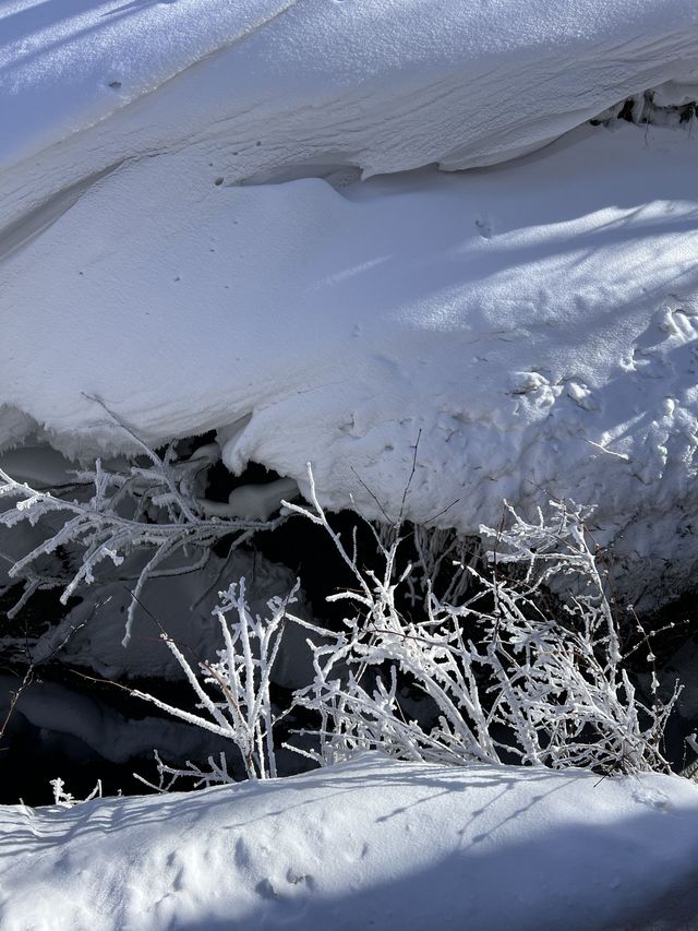 延邊3日遊|玩轉熱門景點 不看後悔 延邊3日遊|玩轉熱門景點 不看後悔