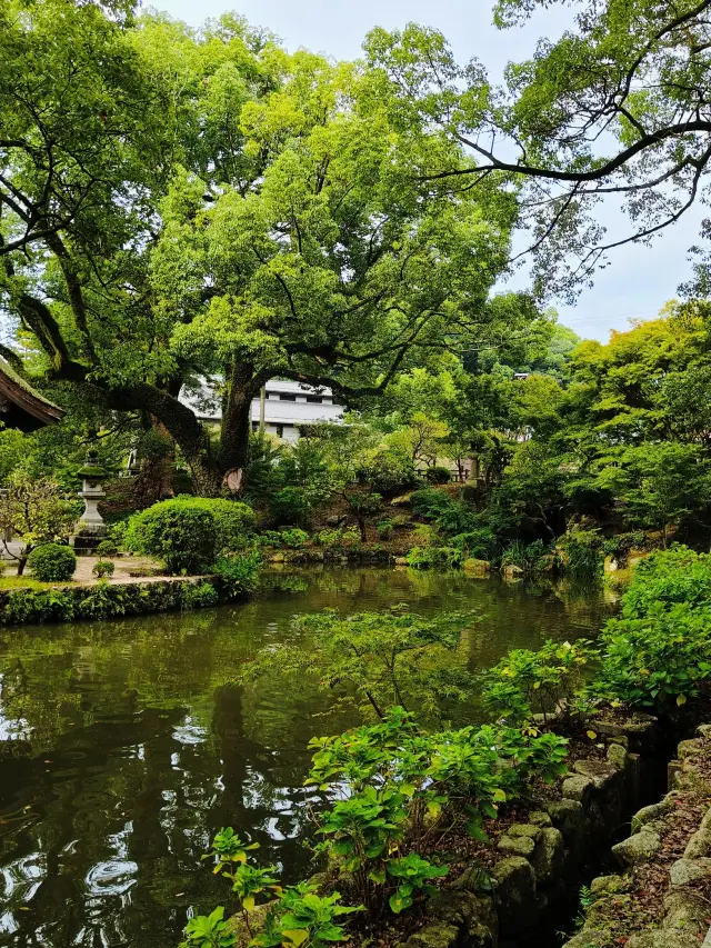 4 วันในญี่ปุ่นด้วยงบประมาณเพียง 800 บาทต่อคน