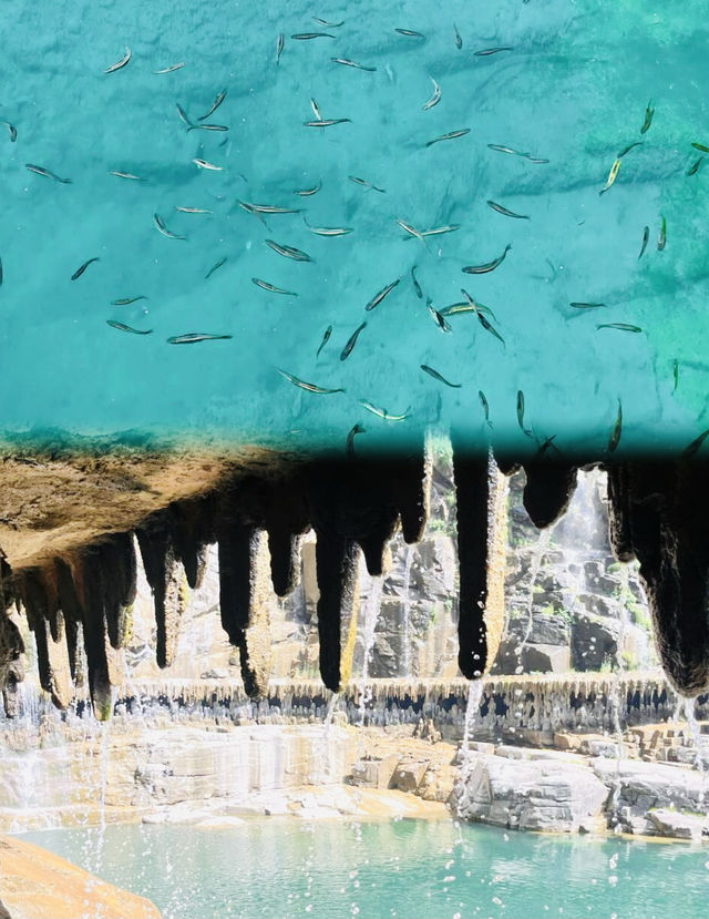 新鄉八里溝—大自然的天然氧吧