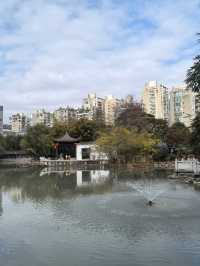 公園又見碧波起