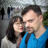 Cloud Forest is a MUST SEE!