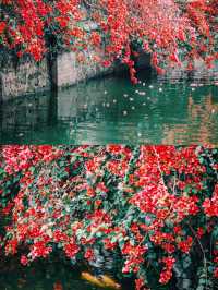 春遊記|東莞的古典公園，鏡頭下的春和景明