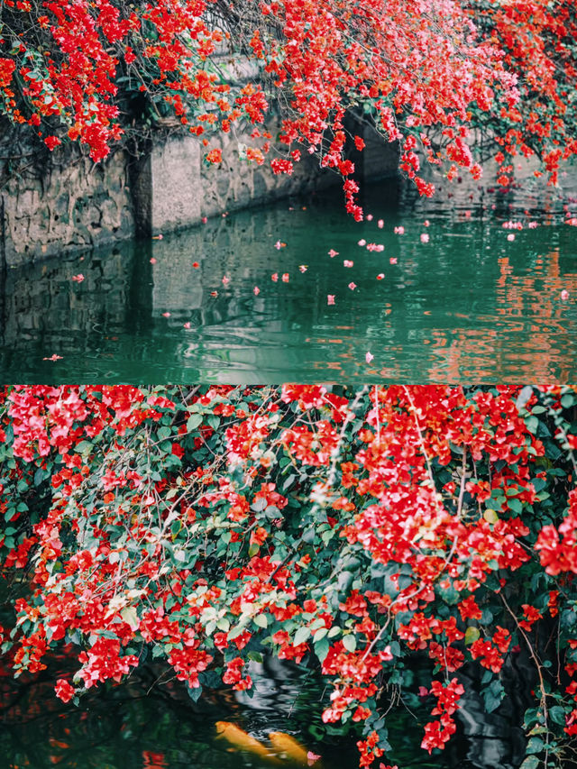 春遊記|東莞的古典公園，鏡頭下的春和景明