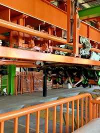 Ultimate Guide to Riding All 15 Roller Coasters at Six Flags Magic Mountain