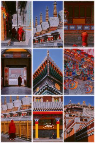 【冬日塔爾寺：信仰與寧靜的秘境】