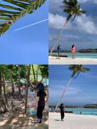 呼拉島：藏喺大海深處嘅夢幻之境