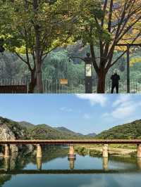 探秘原州｜解鎖小眾寶藏旅行地