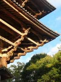 6日深度遊日本 盡享溫泉之旅必收藏