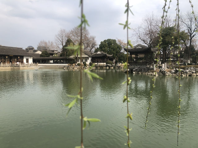 南京｜愚園的春天