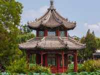 去了3次古蓮花池，終於玩明白了