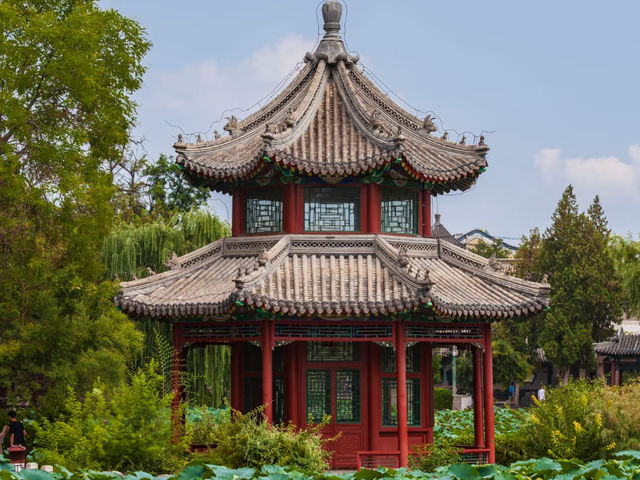 去了3次古蓮花池，終於玩明白了