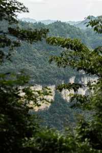 我在畢節找到一個原始森林高原峽谷秘境｜大方油杉河景區