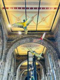 From Screen to the UK's Museum Amazing