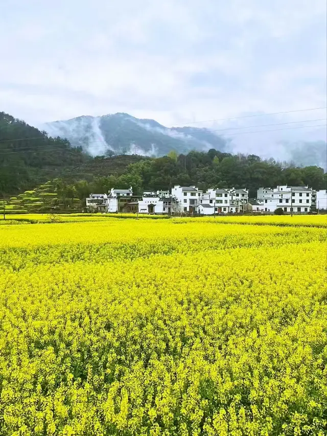 Huimo Mingcun: Wuyuan Hongguan Village