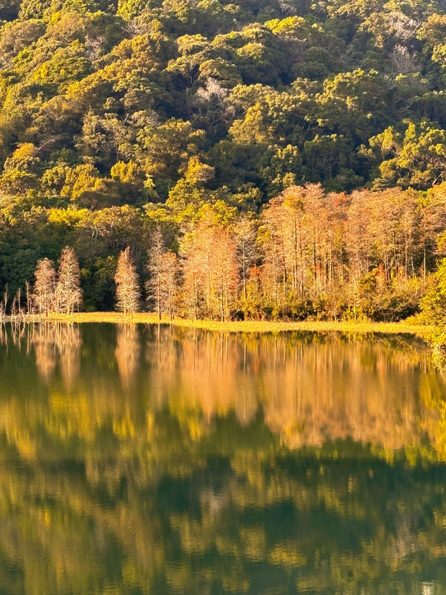 📍深圳｜恩上濕地公園👉週末吸氧好去處