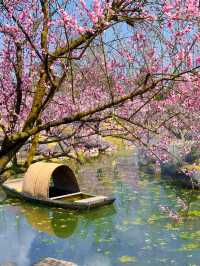 三生三世十里桃花園，現實走走一次吧 