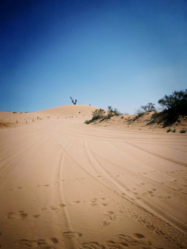 來寧夏必打卡地 來寧夏必打卡地