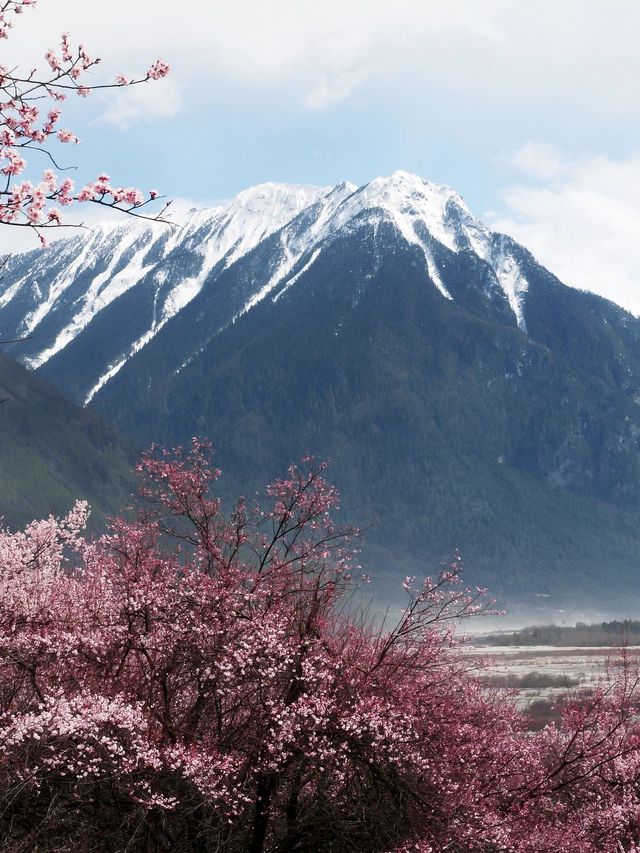 西藏拉薩-日喀則-阿里14天遊 心靈之旅 不去後悔一輩子