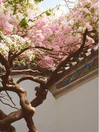 深圳園博園48小時深度美學之旅