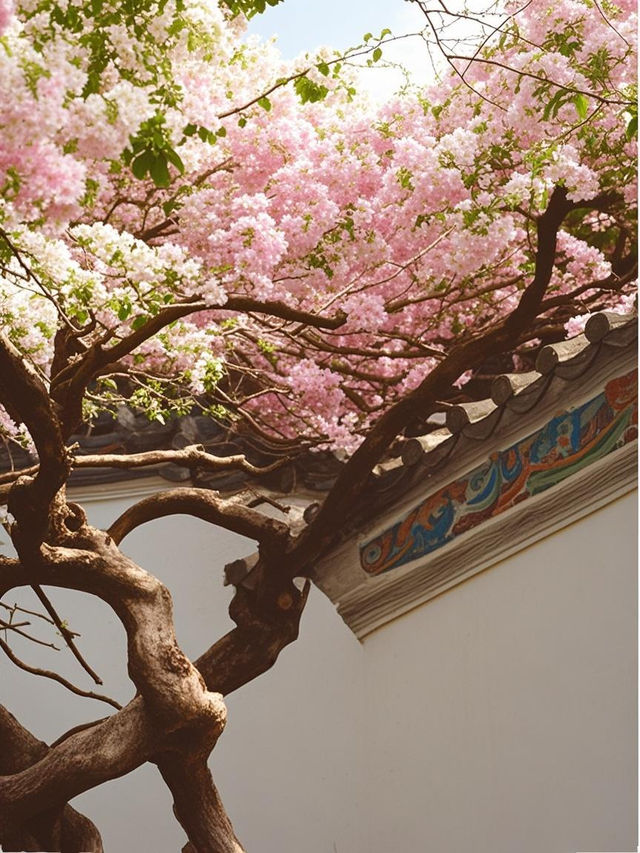 深圳園博園48小時深度美學之旅