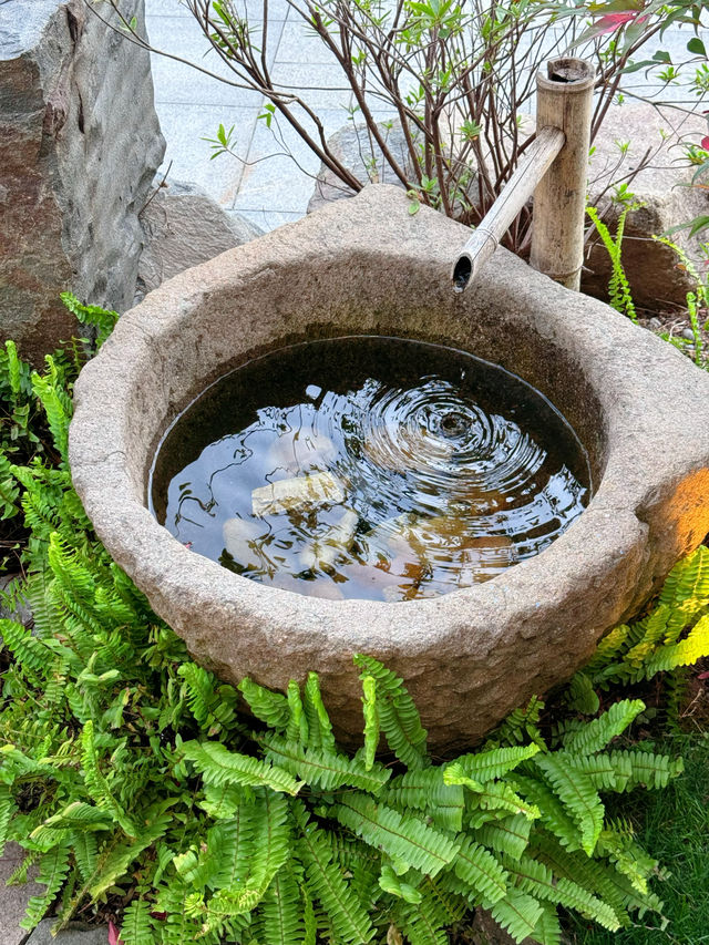 呢餐植物料理，令我體驗到宋代美學嘅意境