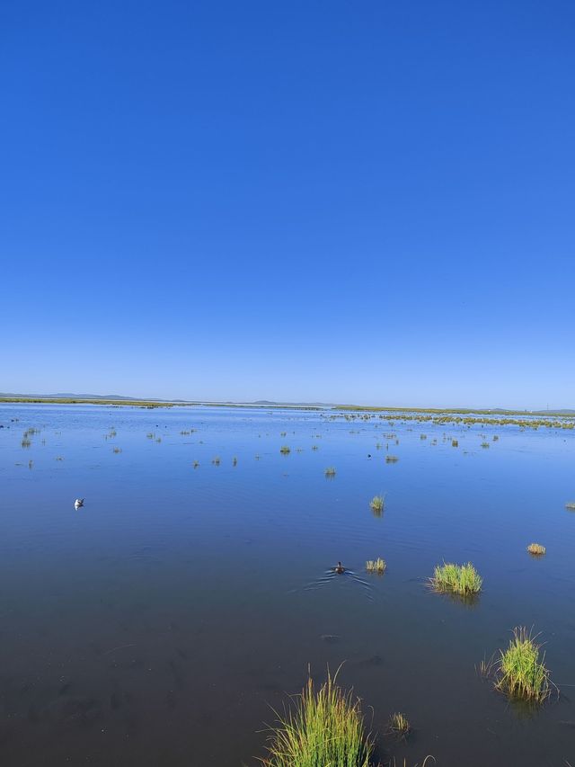 天水等地老友出遊秘笈一起重拾青春記憶