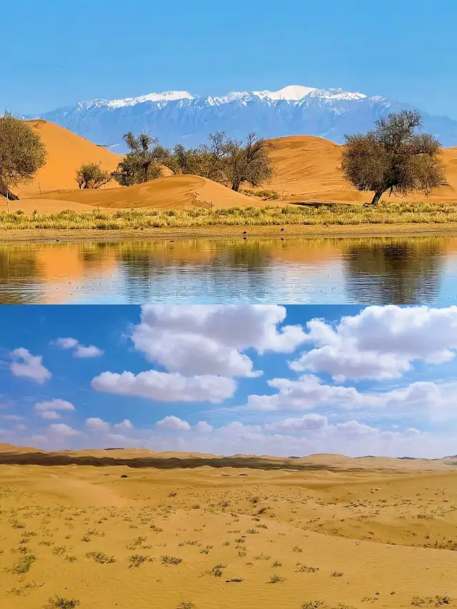 짧은 연휴에 은촨 등지를 알차게 즐기는 완벽 공략법, 지금 바로 확인하세요!