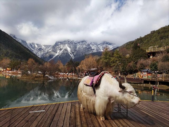 這個春天總要去一趟玉龍雪山吧！
