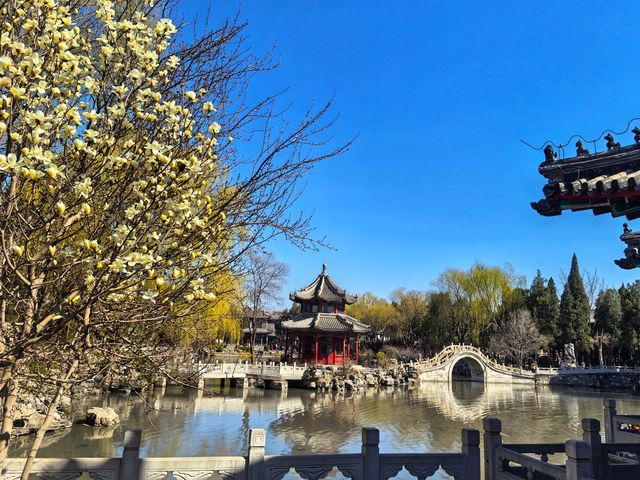 春至蓮池書院