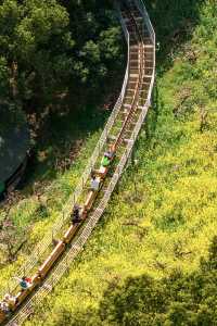 冇去婺源人逼人，湖州都可以上春山
