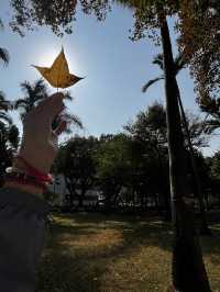Shenzhen City Walk | Luohu Greenway