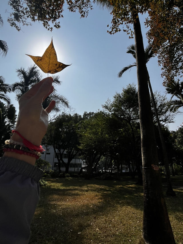 Shenzhen City Walk | Luohu Greenway
