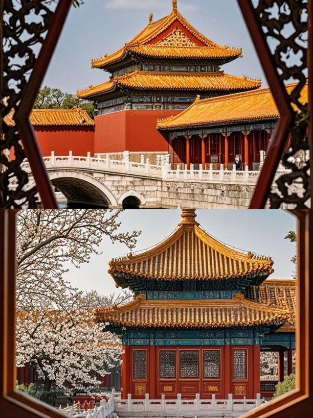故宮賞花全攻略，錯過等一年！
