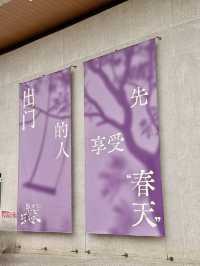 深圳！龍崗春日限定花海～