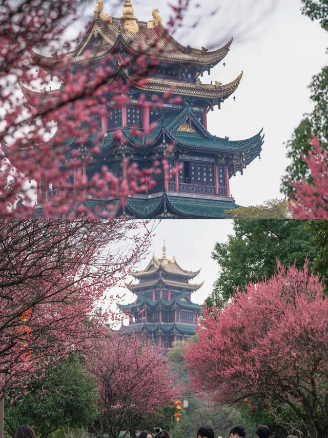 來鴻恩寺，邂逅花與禪意的浪漫約定
