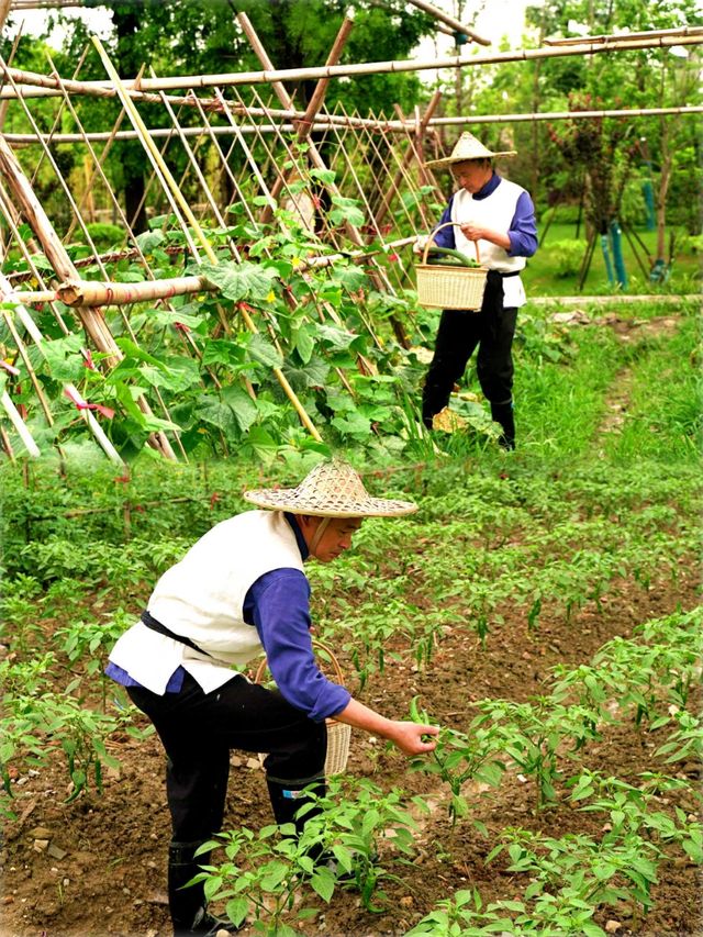 入住有機農場！這才是真正的「從農場到餐桌」
