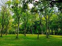 Zhujiang Park: A Green Oasis of Joyfull Time in Guangzhou