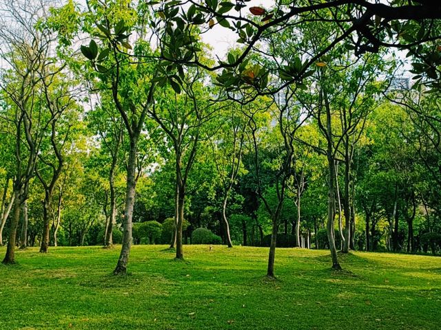 Zhujiang Park: A Green Oasis of Joyfull Time in Guangzhou