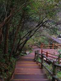 「秘境黎坪」超詳細旅遊攻略，帶你玩轉森林公園