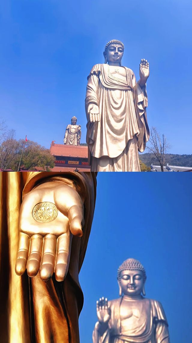 替你們試過靈山大佛真的很靈⌓‿⌓